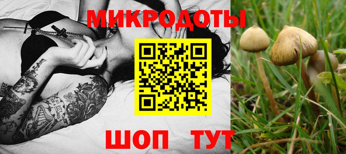 Заринск  Галлюциногенные грибы Magic Shrooms  Вход с VPN 