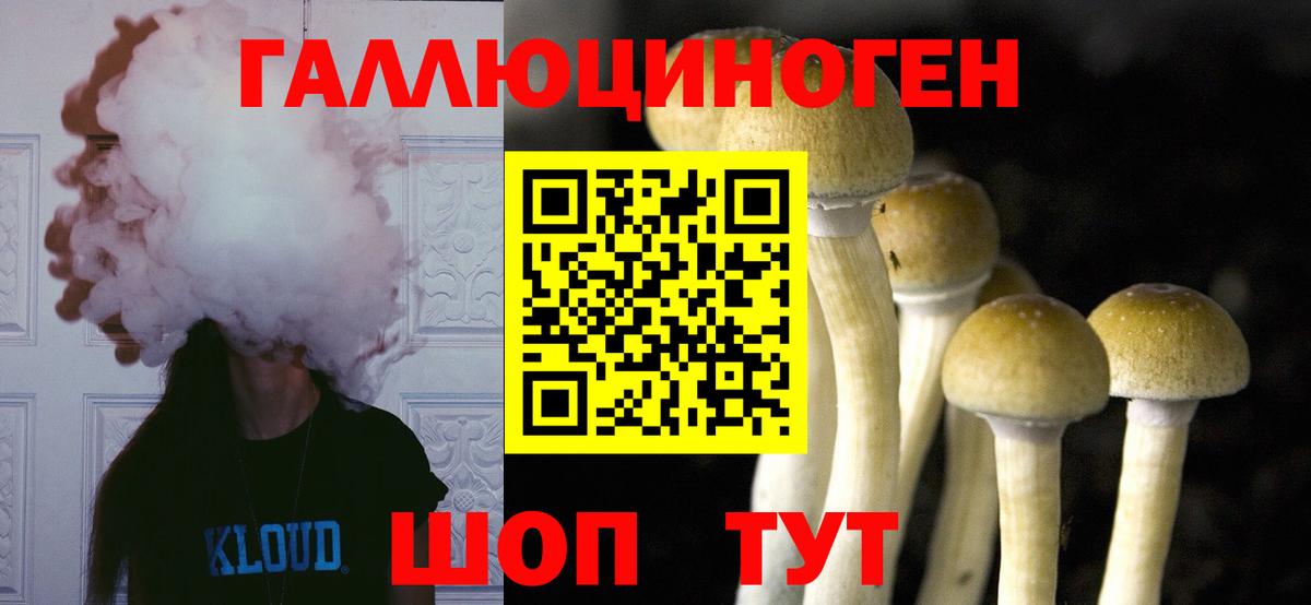 Псилоцибиновые грибы Cubensis Заринск